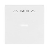 Busch-Jaeger Zentralscheibe für Cardschalter 1792-84 Retail