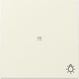 Gira Wippe Kontrollfenster und Symbol weiß, Retail