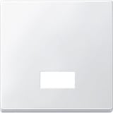 Merten Wippe mit Symbolfenster rechteckig für Kontrollschalter- und Taster-Einsatz Typ 434819 weiß (glänzend), Retail