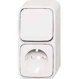 Busch-Jaeger Wechselschalter mit Schutzkontakt-Steckdose kombiniert weiß, Retail