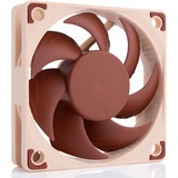 Noctua NF-A6x15 FLX, Gehäuselüfter 60 mm