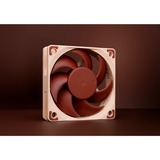Noctua NF-A6x15 FLX, Gehäuselüfter 60 mm