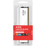 ADATA DIMM 16 GB DDR5-6000, Arbeitsspeicher weiß, AX5U6000C2816G-SLABRWH, XPG Lancer Blade RGB, INTEL XMP, AMD EXPO
