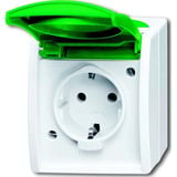Busch-Jaeger Steckdose Schutzkontakt Typ F Aufputz grün, Retail
