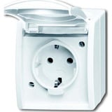 Busch-Jaeger Steckdose mit Klappdeckel CEE 7/3 Typ F 20 EBW-54 weiß, Retail