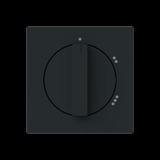 Busch-Jaeger Zentralscheibe mit Drehgriff, Abdeckung schwarz, Retail