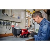 EINHELL Nass-Trockenschleifer TC-WD 200/150, Doppelschleifer rot/schwarz, 250 Watt