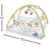 Fisher-Price Fisher-Price Simply Senses Sensorische Erlebnisdecke, Spielbogen/Decke 