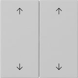 Gira Wippe zweifach grau, Retail