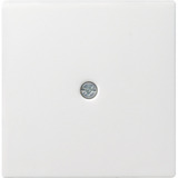 Gira Zentralplatte Schnurableitung weiß (matt), Retail