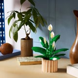 LEGO 11504 Botanicals Friedenslilie, Konstruktionsspielzeug 