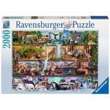 Ravensburger Puzzle Aimee Stewart: Großartige Tierwelt