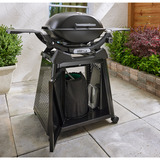 Weber Gasgrill Q 2200N mit Premium-Rollwagen schwarz, 4,10 kW, mit Seitentischen