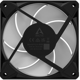 ARCTIC BioniX P12 A-RGB, Gehäuselüfter schwarz/weiß, 120 mm