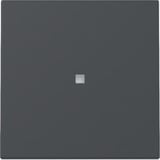 Gira Wippe Kontrollfenster anthrazit, Retail