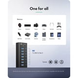 ICY BOX IB-AC618a, USB-Hub schwarz