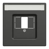Merten Zentralplatte rechteckiger Ausschnitt für System Design mit Beschriftungsfeld, Unterputz anthrazit, Retail