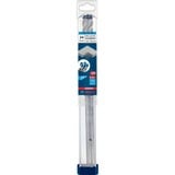Bosch Professional EXPERT Hammerbohrer SDS-max-8X, Ø 24mm Arbeitslänge 200mm