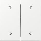 Gira Wippe zweifach mit Pfeilsymbolen weiß, Retail