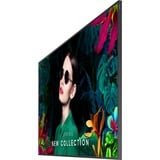 Samsung QM55C, Public Display schwarz, UltraHD/4K, WLAN, Bluetooth, HDMI