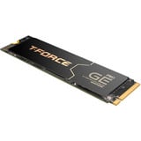 Team Group T-Force GE Pro 2 TB, SSD schwarz/gold, PCIe 5.0 x4 | M.2 2280 |  AirFlow I-Kühlkörper