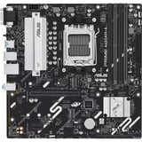 ASUS PRIME A620AM-A-CSM, Mainboard 