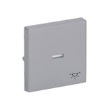 Busch-Jaeger Wippe mit Symbol Licht Retail