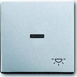 Busch-Jaeger Wippe mit Symbol Licht Retail