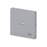 Busch-Jaeger Wippe mit Symbol Licht Retail