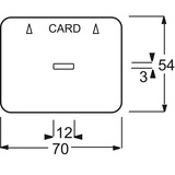 Busch-Jaeger Zentralscheibe für Cardschalter, Abdeckung titan, Retail