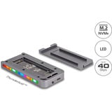 DeLOCK Laufwerksgehäuse M.2 NVMe USB 40 Gbps Gaming Style grau, werkzeugfrei, mit LED und Lüfter