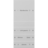 Gira Wippenset vierfach beschreibbar lackiert System 55 grau, Retail