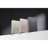 Intenso Magnetic Wireless Powerbank MW10000 Grey grau, 10.000 mAh, MagSafe, PD