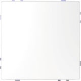 Merten KNX-Tastsensor Professional T mit Temperatursensor und Gestensteuerung, glänzend weiß (glänzend), Retail