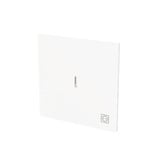0 Wippe mit Symbol Stecker mit transparenter Kalotte weiß, Retail