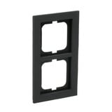 Busch-Jaeger Abdeckrahmen 2-fach, Abdeckung grau, Retail