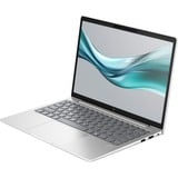 HP EliteBook 630 G11 (9C0G6EA) , Notebook silber, Intel® Core™ Ultra 5 125U, Intel® Graphics, 8 GB DDR5, 256 GB (256 GB SSD), Windows 11 Pro