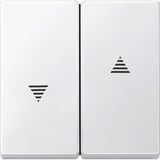 Merten Wippe für Rollladenschalter und Wipptaster Einsatz, Typ 434419, zweiteilige Wippe weiß (glänzend), Retail