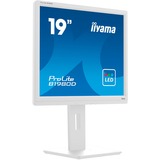 iiyama B1980D-W5, LED-Monitor 48 cm (19 Zoll), weiß, SXGA, TN, VGA, DVI