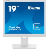 iiyama B1980D-W5, LED-Monitor 48 cm (19 Zoll), weiß, SXGA, TN, VGA, DVI