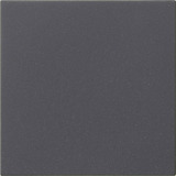 Gira Wippe einfach anthrazit, Retail