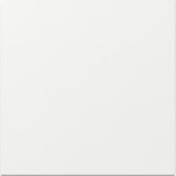 Gira Wippe gerade weiß, Retail