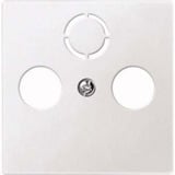 Merten Zentralplatte für Antennendose, Typ 297519, Unterputz, Kunststoff, matt, Schutzart IP20 weiß (matt), Retail