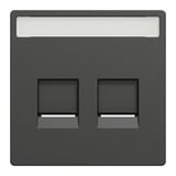 Merten Zentralplatte zweifach für Modular Jack anthrazit, Retail