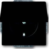 Busch-Jaeger Steckdosen Einsatz 20 EUK-885 schwarz, Retail