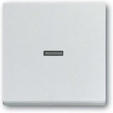 Busch-Jaeger Wippe 1789 Nummer 83 aluminium, Retail