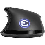 EVGA X17, Gaming-Maus schwarz