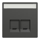Merten Zentralplatte 2fach mit Schriftfeld und integrierten Verschlussschiebern anthrazit, Retail