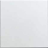 Busch-Jaeger Blindzentralscheibe 1576 C-914, Zentralplatte Retail