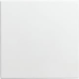 Busch-Jaeger Blindzentralscheibe 1576 C-914, Zentralplatte Retail